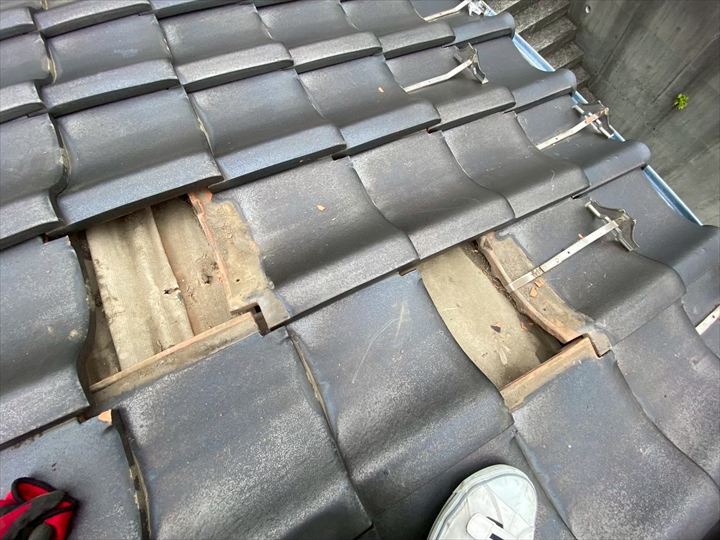 現地調査｜飛散前に回収できたのは幸い